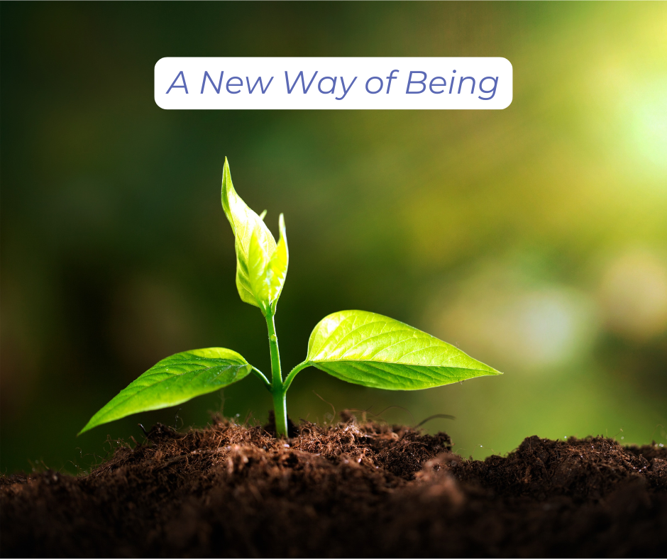 A New Way of Being: A photo of a new plant emerging from the soil.