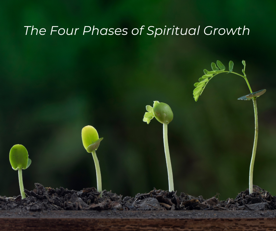 Seedlinlgs: The Four Phases of Spiritual Growth