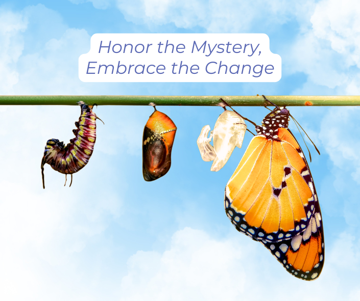 Embrace the change: caterpiller, chrysalis, and newly emerged butterfly