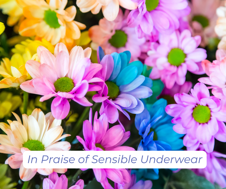 Brightly colored daisies