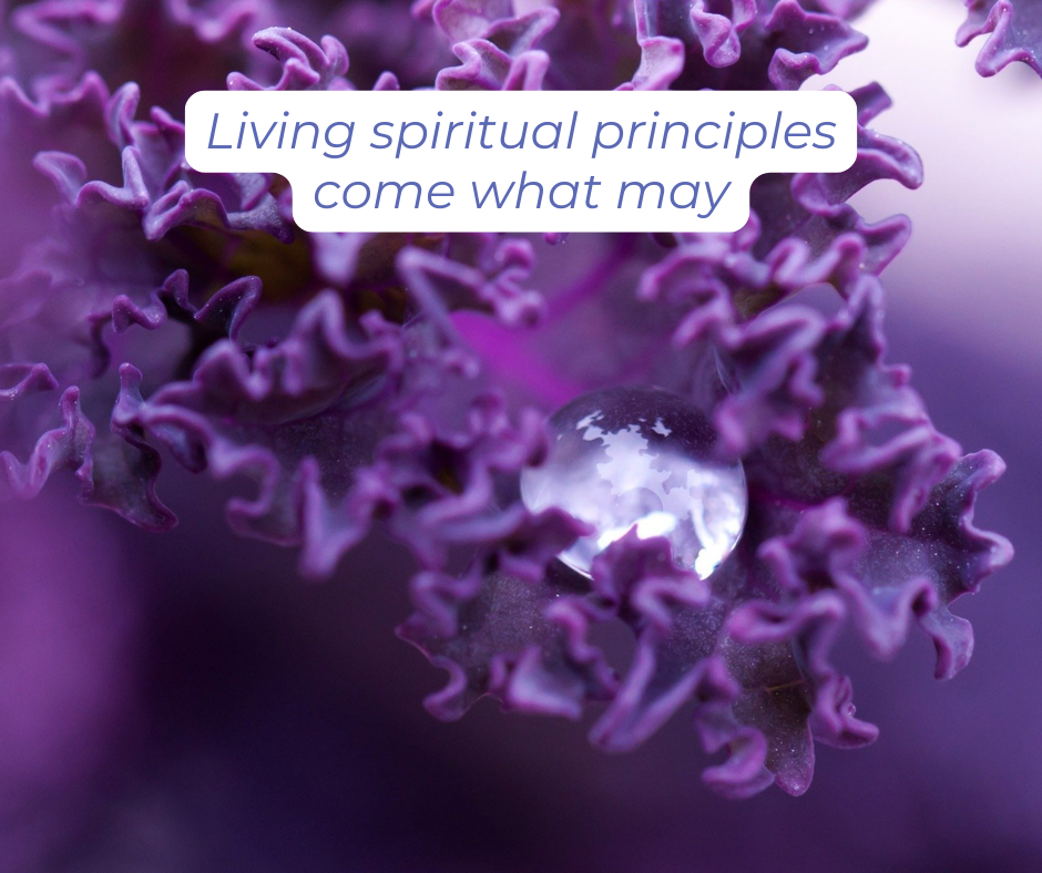 Purple curly leaves with a single dew drop. Living spiritual principles come what may.