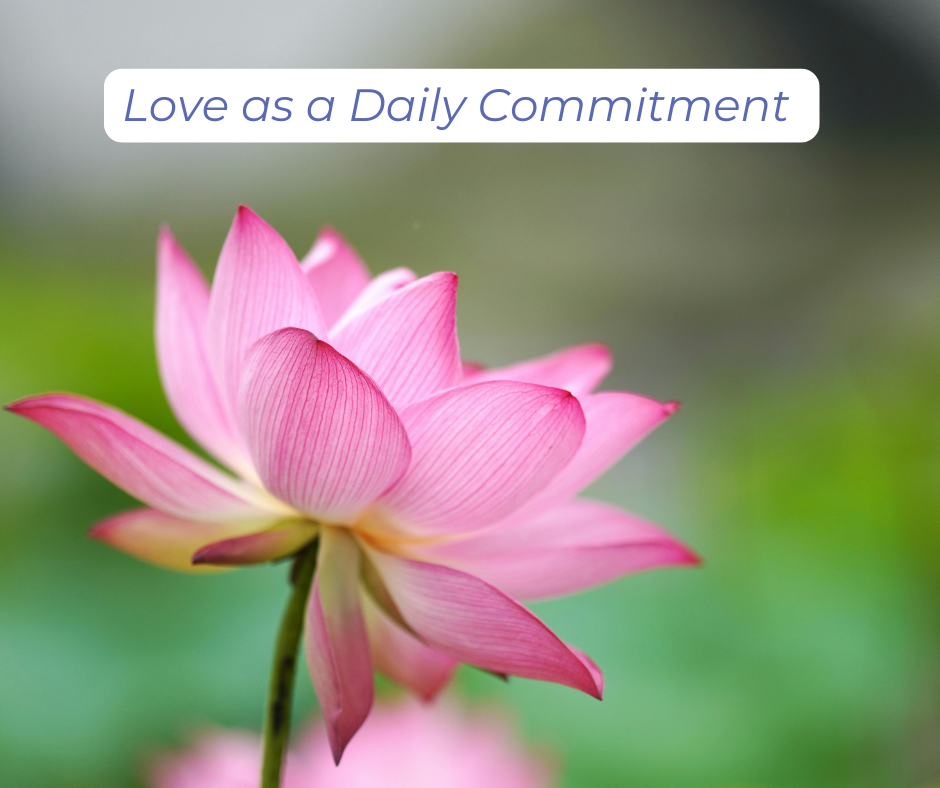 Beautiful lotus flower: Love as a daily commitment