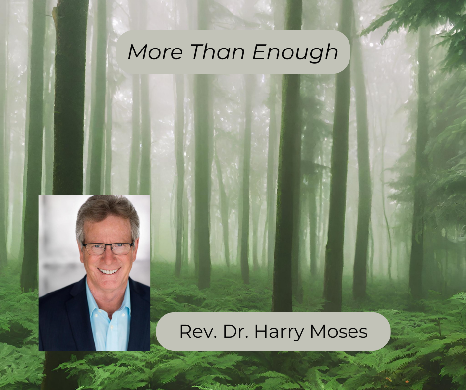 Photo of Rev Dr Harry Moses on a background of a forest