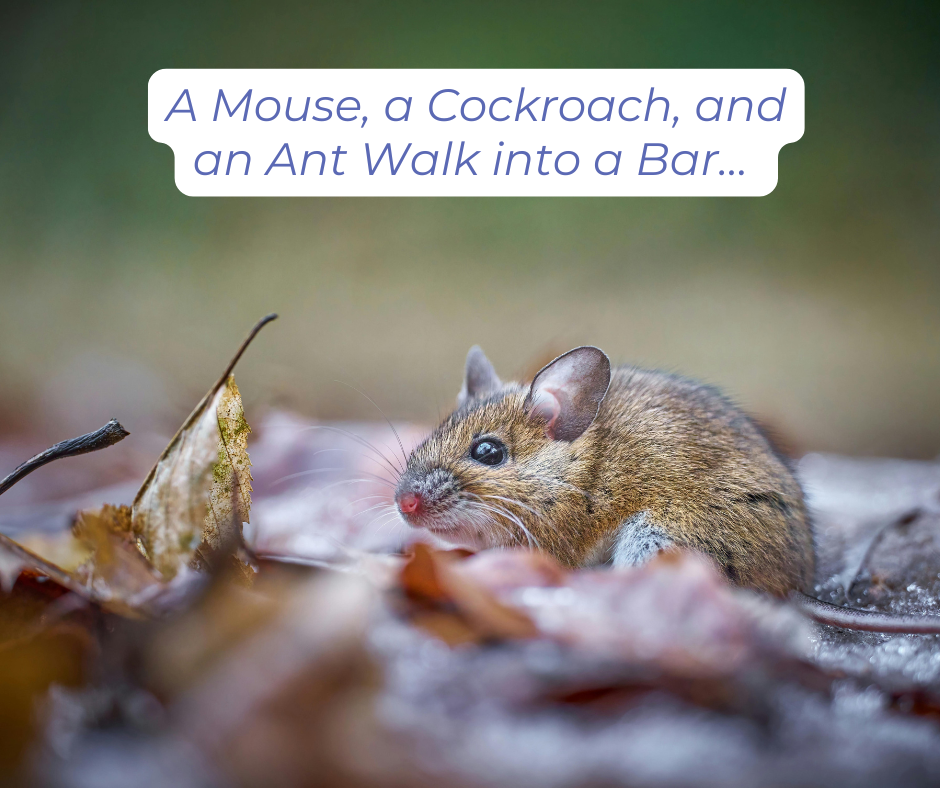 A mouse surrounded with fall leaves